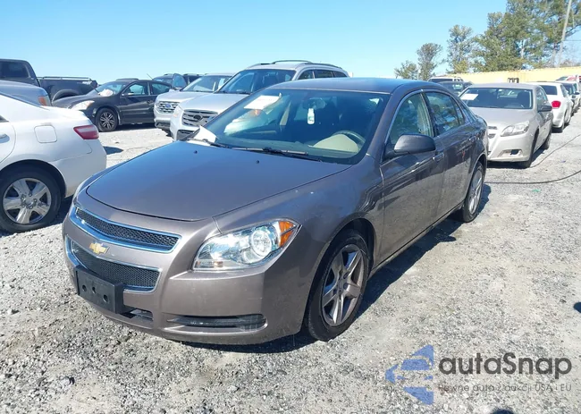 1G1ZB5EB0AF313503: 44172066