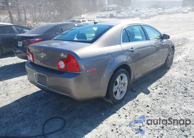 1G1ZB5EB0AF313503: 44172066