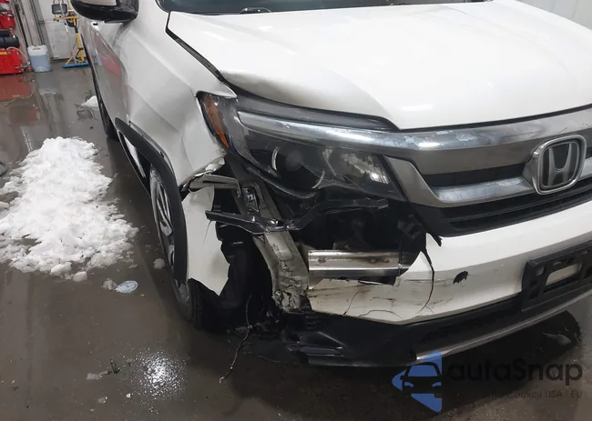 5FNYF6H37KB048666: 44172165