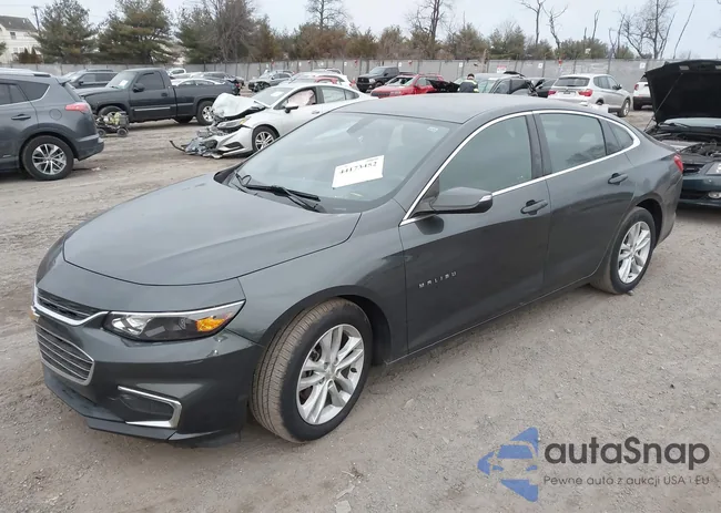 1G1ZD5ST8JF221563: 44173452