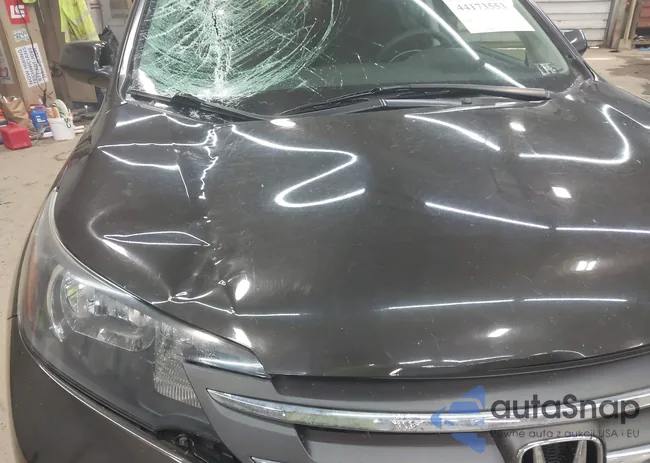 5J6RM4H51EL088284: 44173553