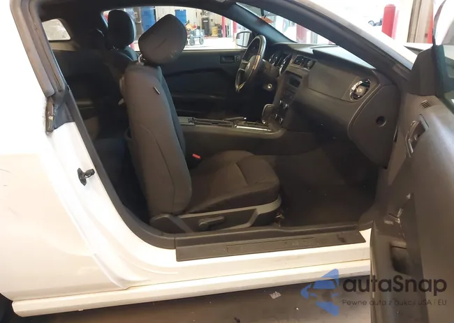 1ZVBP8AM8D5255120: 44173668