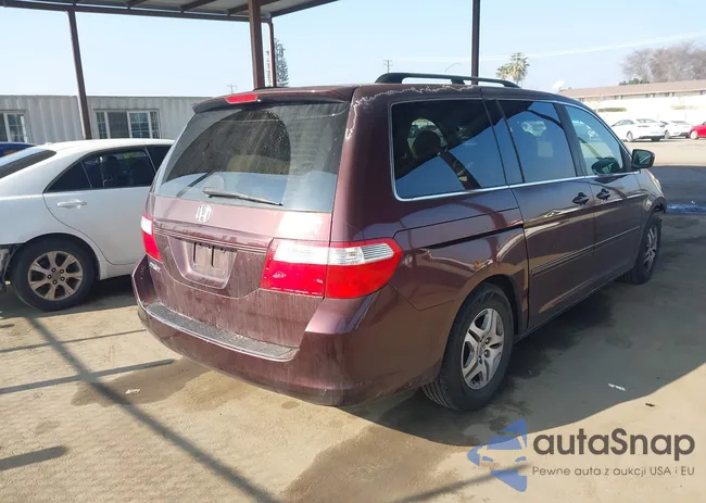 5FNRL384X7B035647: 44173889