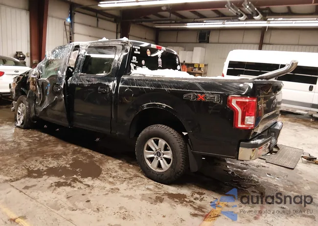 1FTEW1EP7GFB55846: 44173330