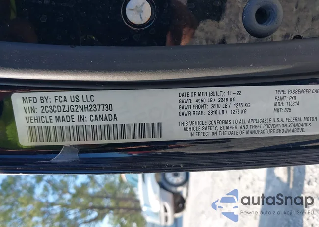 2C3CDZJG2NH237730: 44174731