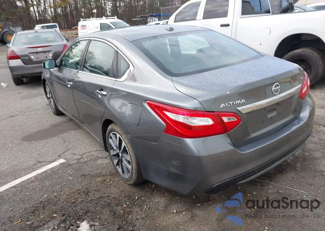 1N4AL3AP5HC206844: 44174773