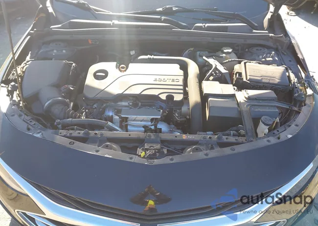 1G1ZD5ST1KF179996: 44174062