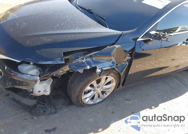 1G1ZD5ST1KF179996: 44174062