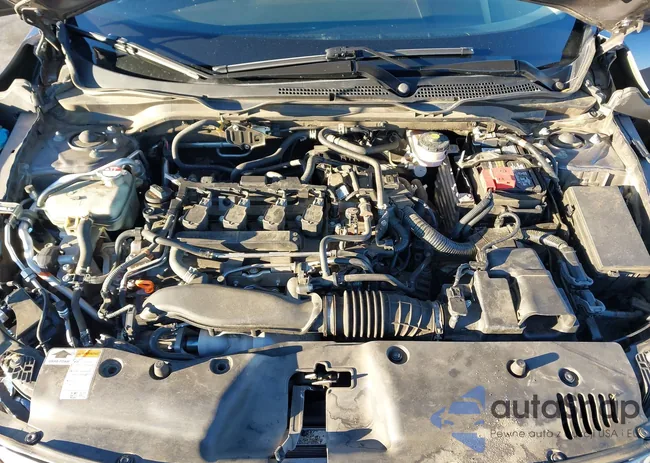 19XFC1F38ME002617: 44174078