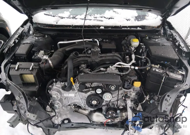 4S4BTADC3S3306830: 44174204