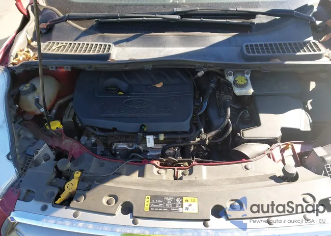 1FMCU0GD8HUD54732: 44174219