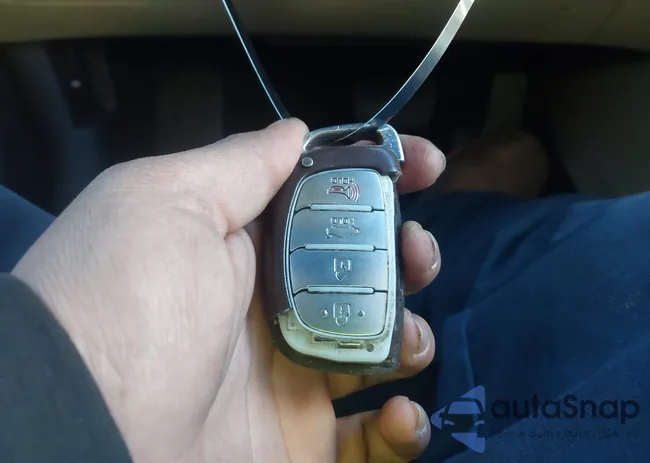 5NPE34AF1FH099849: 44174249