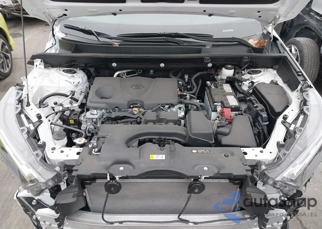 2T3P1RFV6SC521906: 44174258