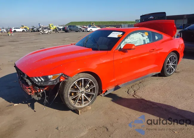 1FA6P8TH7G5334499: 44174342