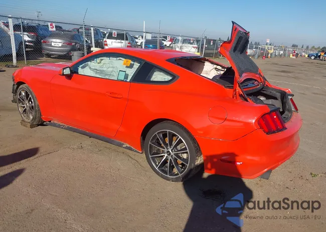 1FA6P8TH7G5334499: 44174342