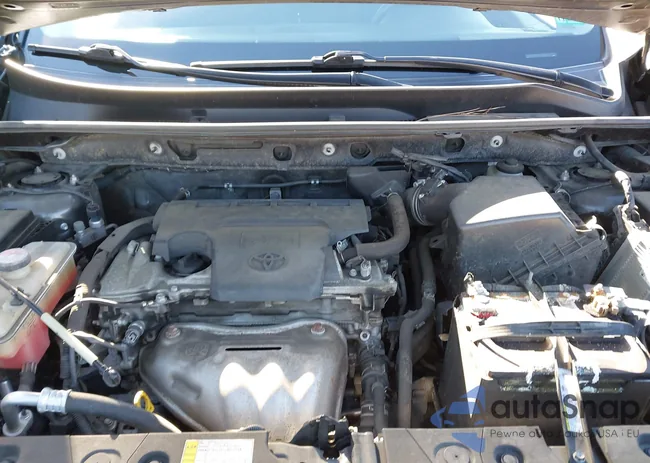 JTMZFREV7GJ072655: 44174410