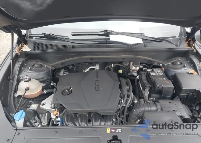 5NMS2DAJXPH563195: 44175485