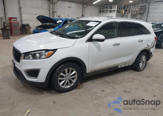 5XYPGDA56JG338736: 44175663