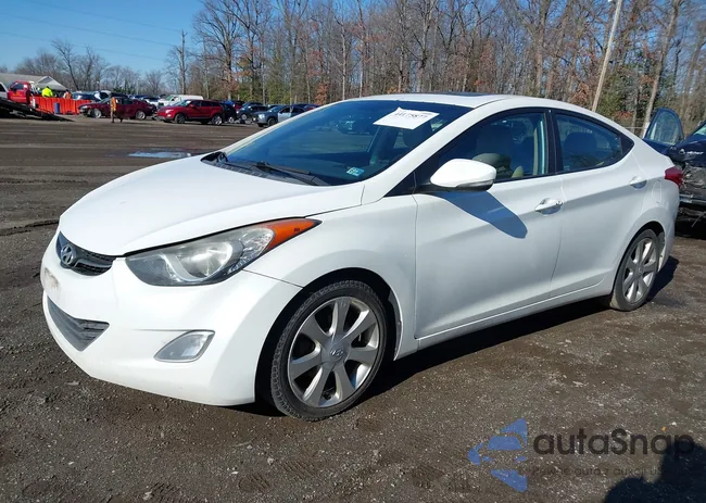 5NPDH4AE4DH433891: 44175877