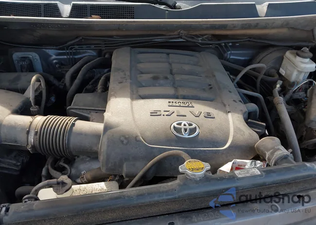 5TFDW5F11FX464573: 44175208