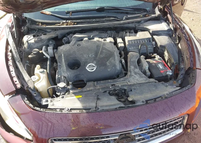 1N4AA5AP0EC436207: 44176658