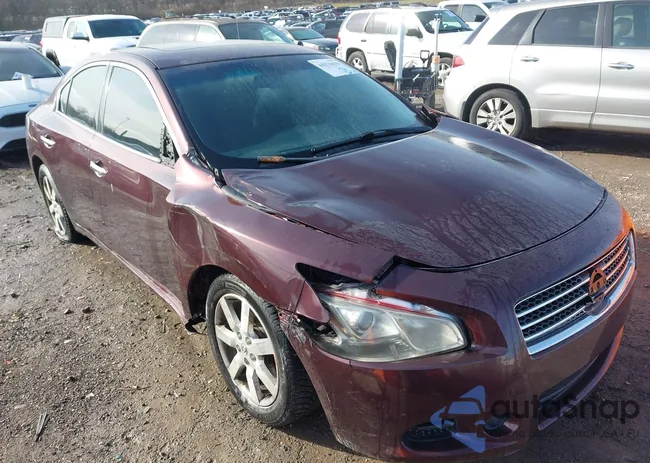 1N4AA5AP0EC436207: 44176658