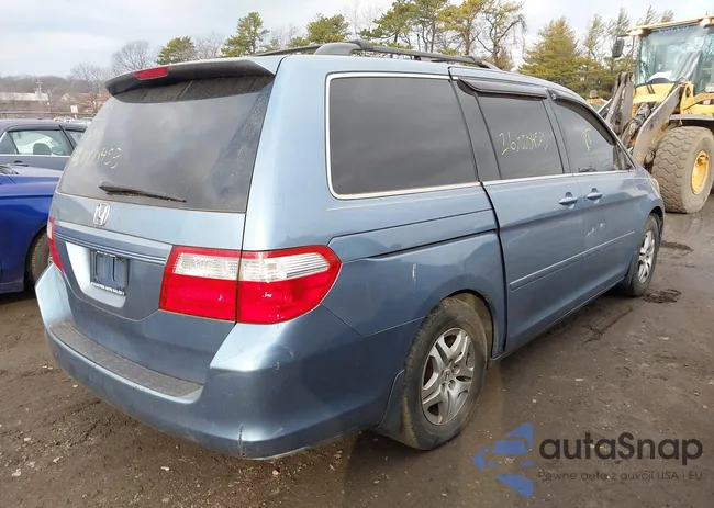 5FNRL38436B086163: 44176679