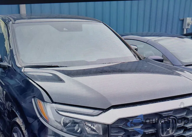 5FNYF7H56NB005142: 44176993