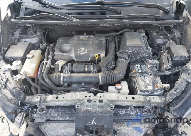 JTJBARBZ3F2015642: 44177003