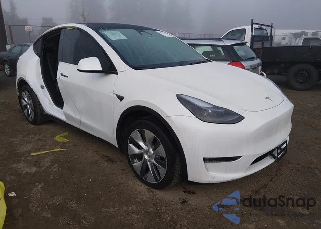 7SAYGDEE9PF898056: 44176151