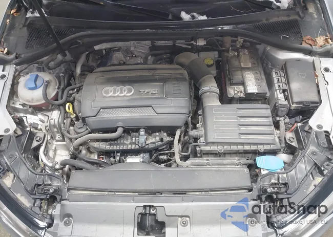 WAUBFGFF1F1061062: 44176344