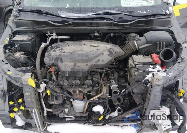 5FNRL6H71KB040952: 44177476