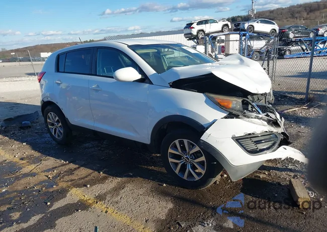 KNDPB3AC7G7844556: 44177574