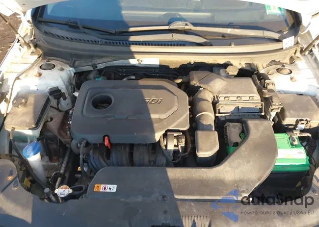 5NPE34AF1FH091945: 44177629