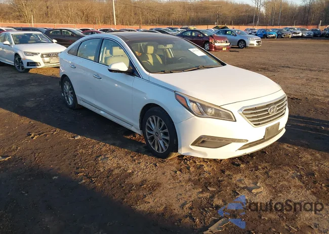 5NPE34AF1FH091945: 44177629