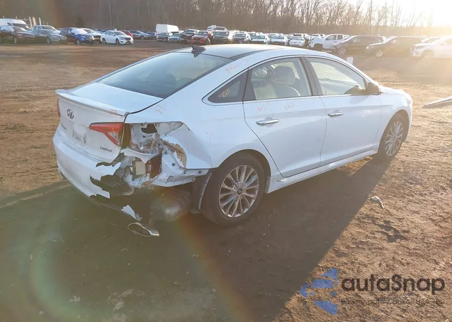 5NPE34AF1FH091945: 44177629