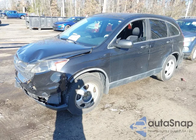 5J6RE3H31BL021038: 44177161