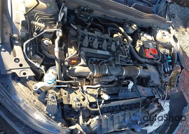 1HGCV1F34KA024922: 44178618