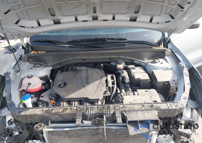 5XYRL4JC3SG331229: 44178906