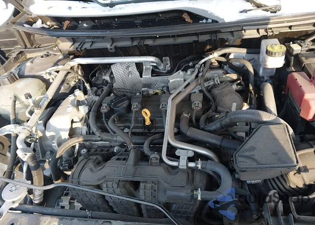 5N1AT3BB0MC677481: 44179536