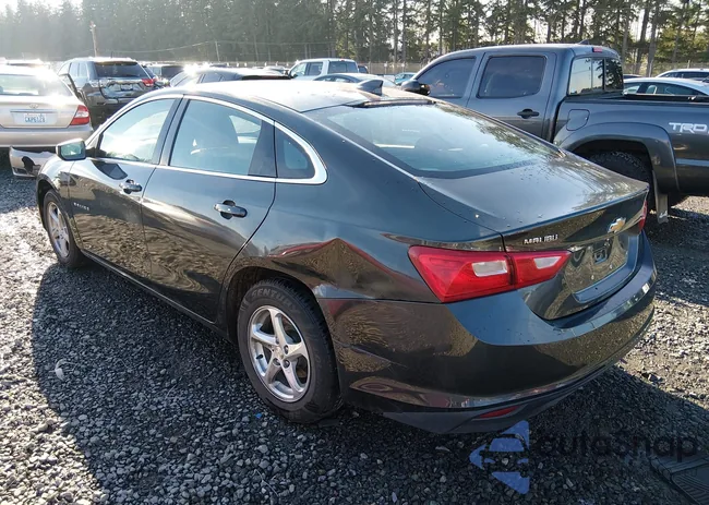 1G1ZB5ST5HF209614: 44179660