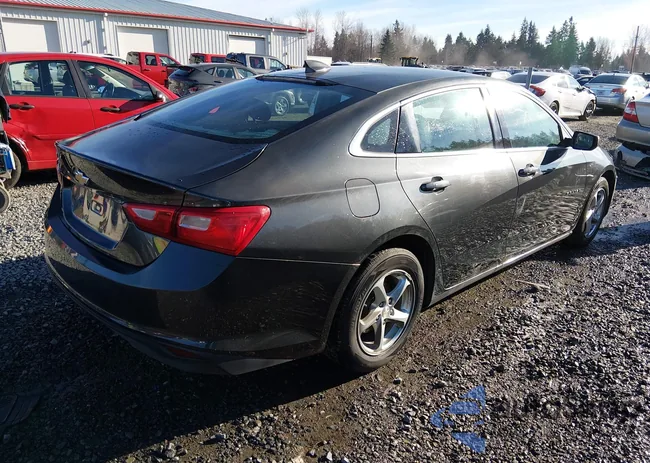 1G1ZB5ST5HF209614: 44179660