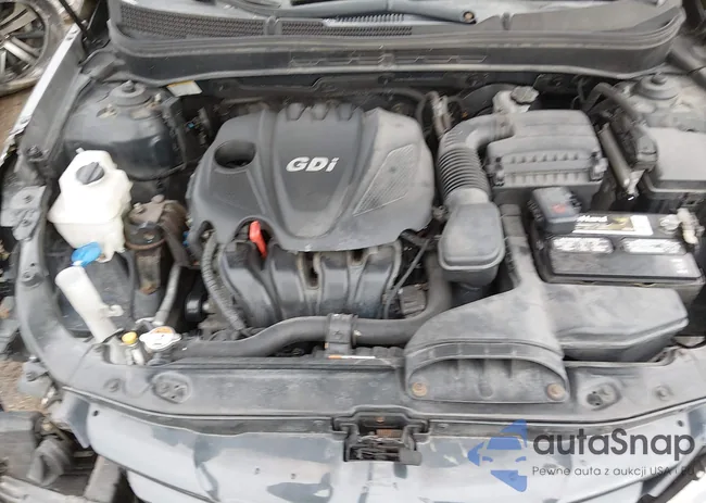 5NPEB4AC6DH644417: 44179692