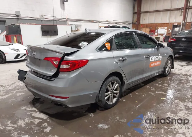 5NPE24AA3FH109952: 44179085