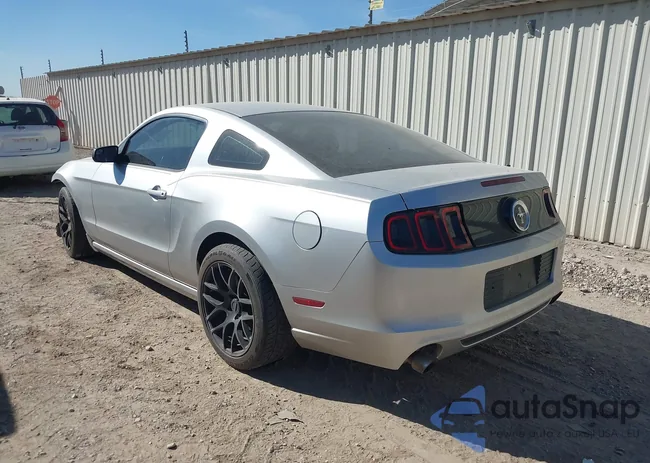 1ZVBP8AM2E5256930: 44179325