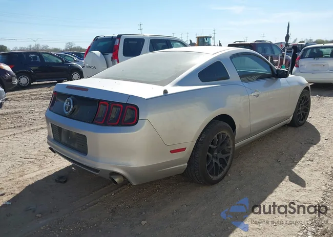 1ZVBP8AM2E5256930: 44179325