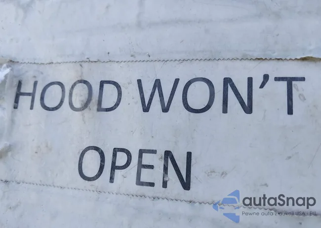 2CNBE634016944817: 44180955