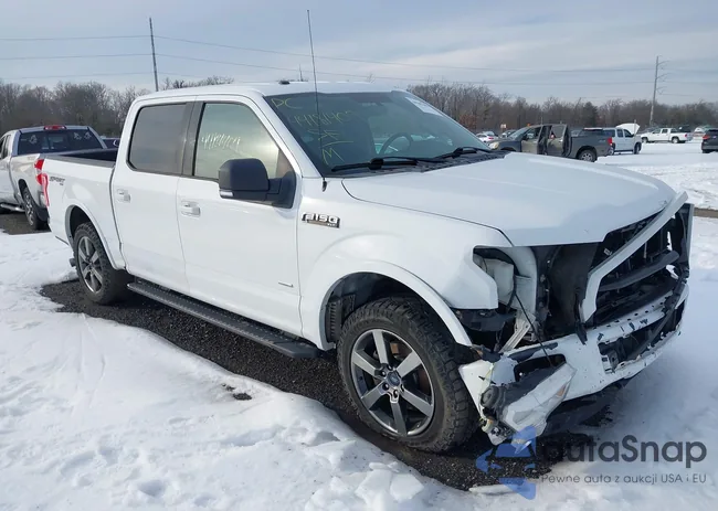 1FTEW1EP4FFB79598: 44181409