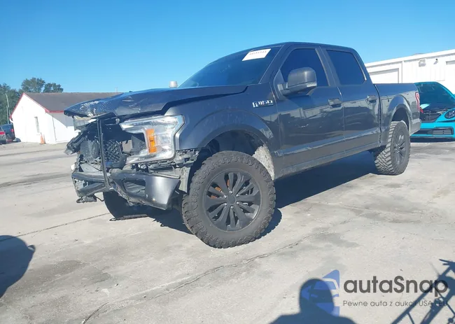 1FTEW1E58KFC03491: 44181544