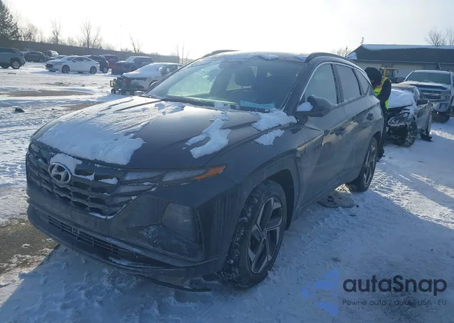 5NMJF3DE3RH357907: 44181688